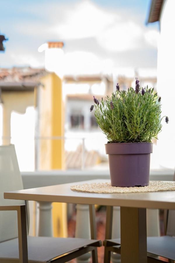 Olive Loft Apartamento Florencia